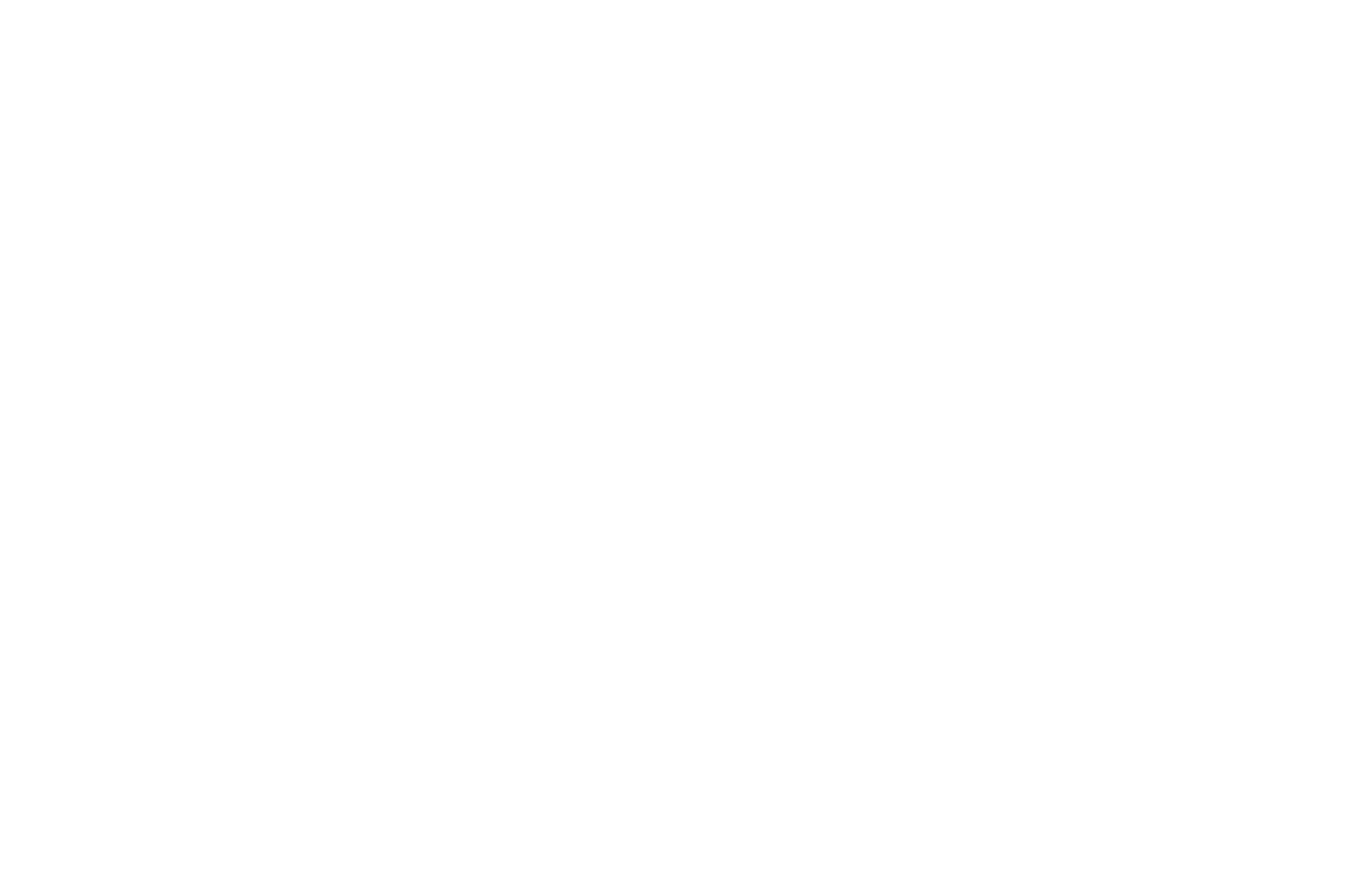 Vikar Logo_White
